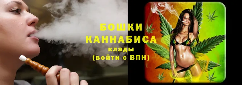 Конопля OG Kush  Верещагино 